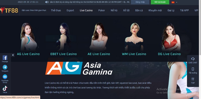 Việt Nam luôn là thị trường màu mỡ cho của thể loại game trực tuyến